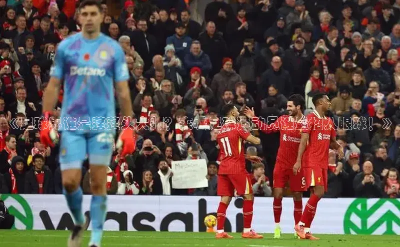 bob半岛·中国官方网站百度手机助手《足球界谁是蓬蓬头大师？来看足球运动员谁最招人眼球！》