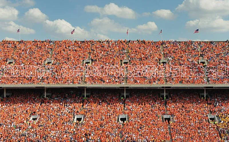 BOB半岛官方正版下载百度识图捕捉激情：体育赛事的视觉震撼与技术突破