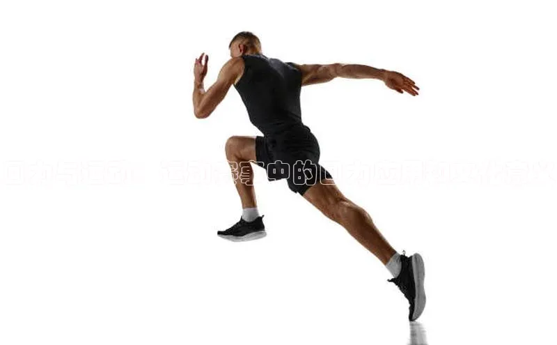 星空半岛·体育官网下载百度Apollo回力与运动：运动赛事中的回力应用和文化意义