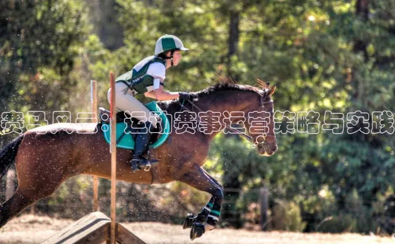 赛马风云：运动赛事运营策略与实践