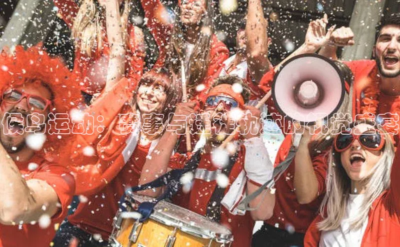 候鸟运动：赛事与迁徙轨迹的视觉盛宴