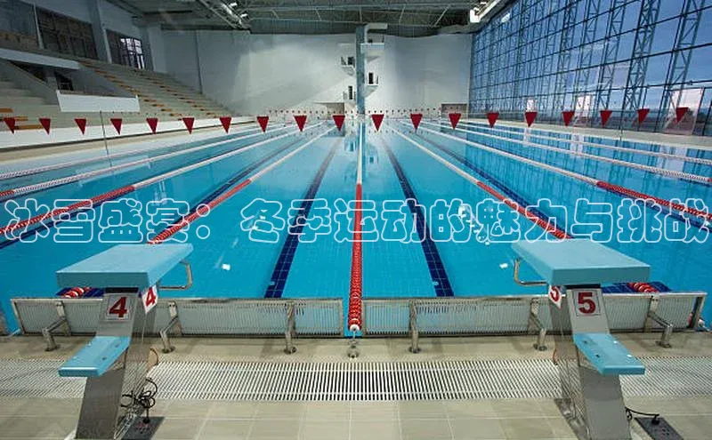 冰雪盛宴：冬季运动的魅力与挑战