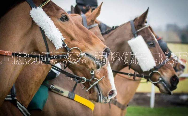 上肢力量竞赛：巅峰体能与技巧
