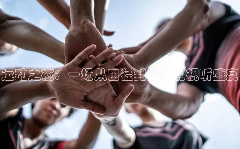 运动之夜：一场从田径到篮球的视听盛宴