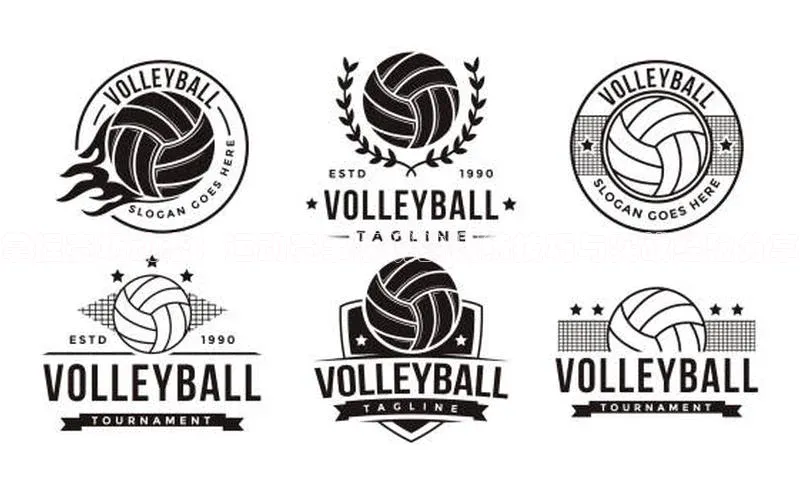 掌握赛场动态：运动赛事解说的训练技巧与实战经验分享