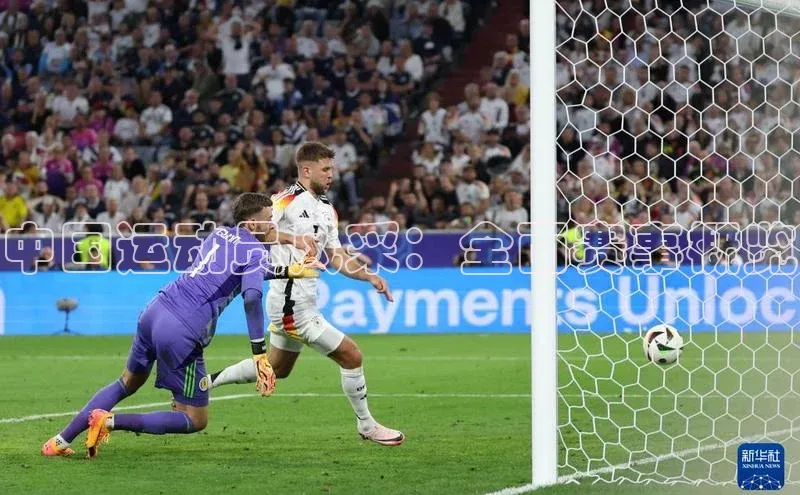 中国运动员风采：全面赛事概览