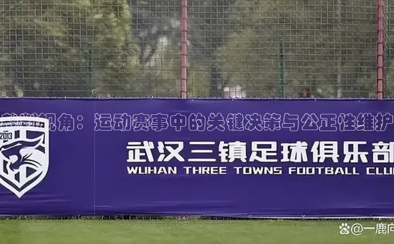 裁判视角：运动赛事中的关键决策与公正性维护