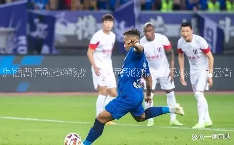 河南省运动会盛况：展现运动激情与团队协作的舞台