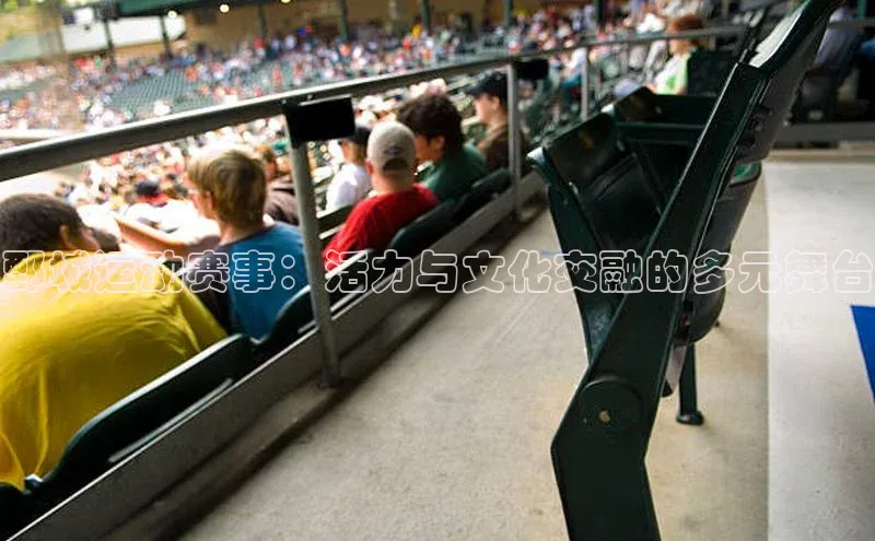 鄄城运动赛事：活力与文化交融的多元舞台