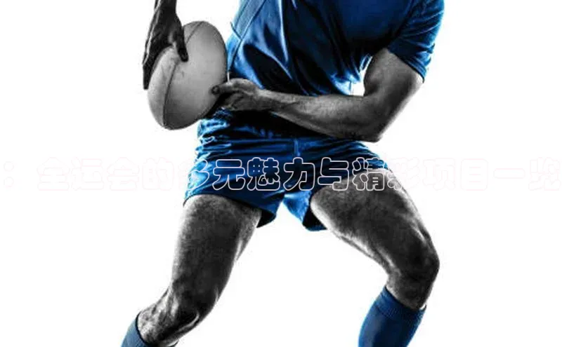 ：全运会的多元魅力与精彩项目一览