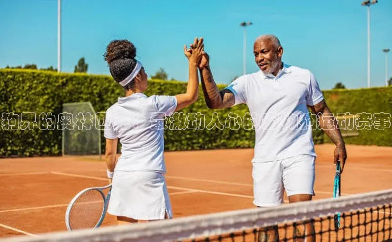 狗界的奥林匹克：最激动人心的宠物狗运动赛事