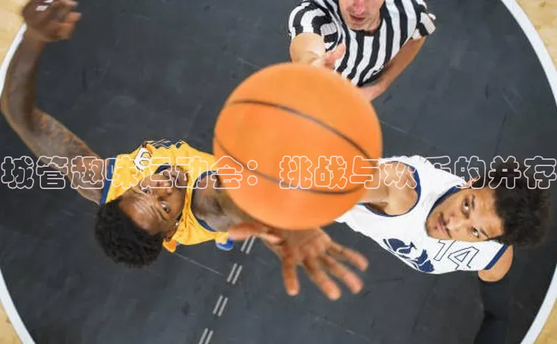 半岛·体育bob官方网站官网