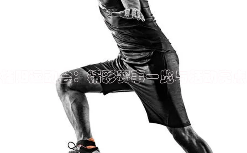 半岛·综合体育网页版