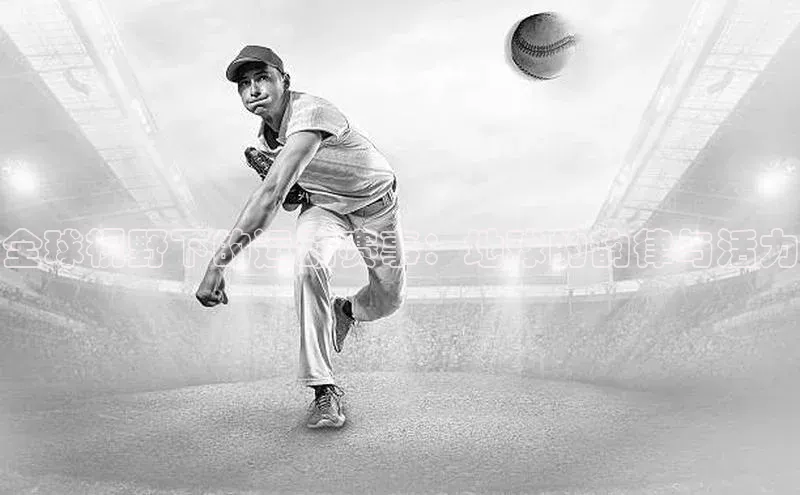 半岛·bob官方网站体育