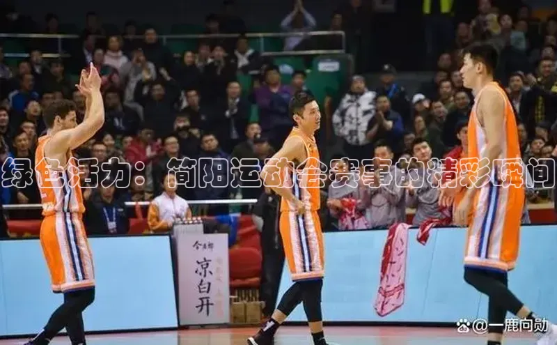 绿色活力：简阳运动会赛事的精彩瞬间